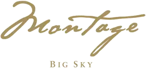 Montage logo Luxury Reviews Guides