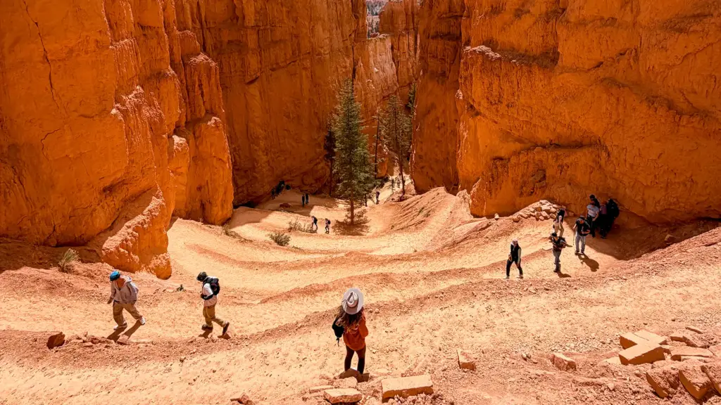 the Navajo Loop + Queens Garden Trail