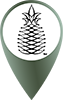 category icon