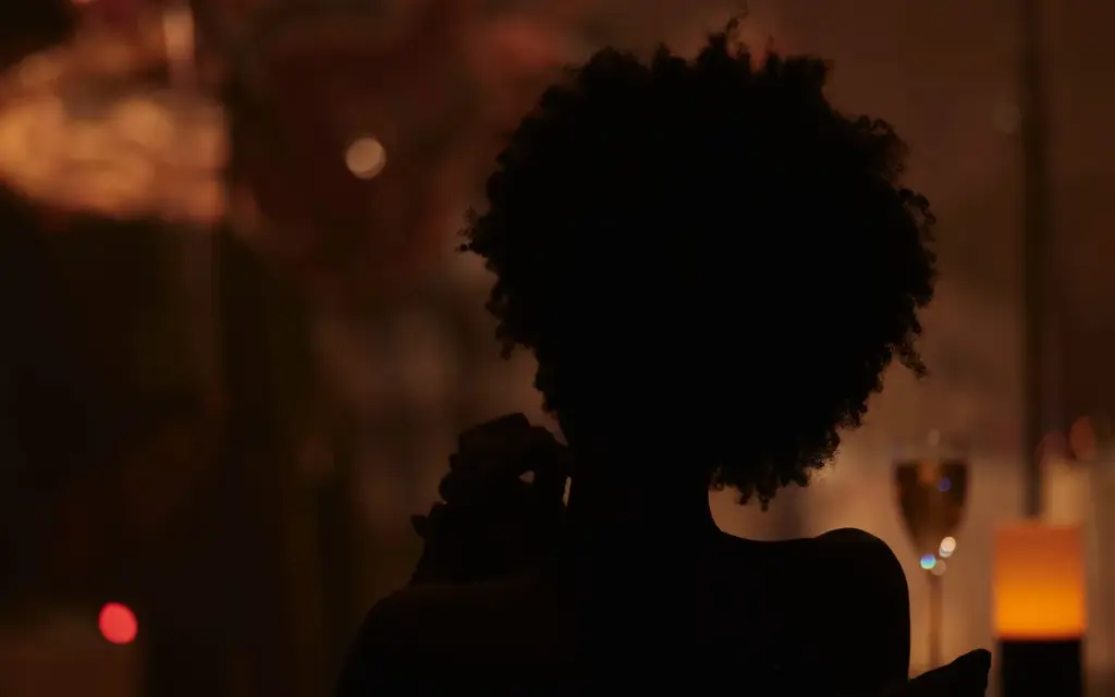 Aman new york usa jazz club the tangier 1394x1394px | The Luxury Travel Atlas | The Luxury Travel Atlas Silhouette of a Person with a Curly Afro Facing Away in a Dim Warm-lit Bar, Glassware in the Background.